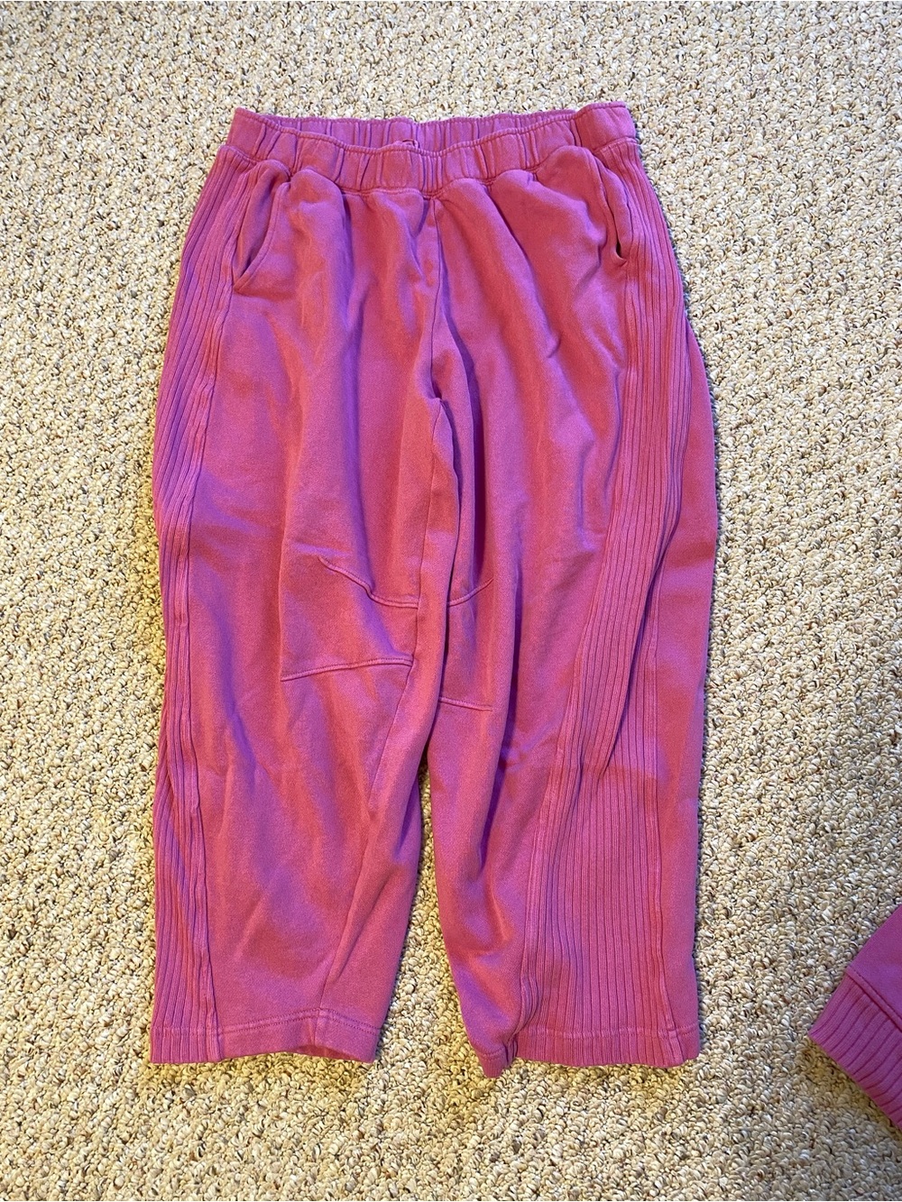 NWOT Aerie Oh Snap! Barrel oversized sweatpants Large - Picture 2 of 2